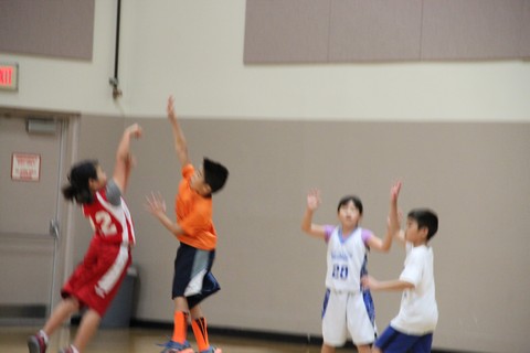 2016 Charity Exhibition Game